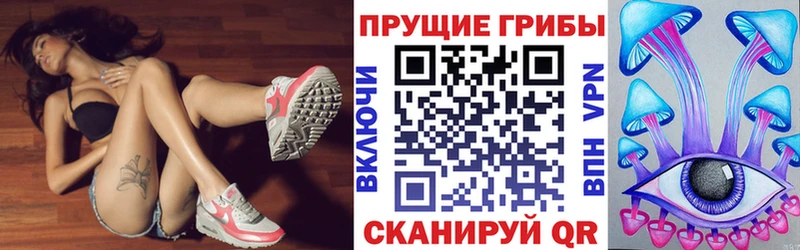 Псилоцибиновые грибы Psilocybe  цена наркотик  нарко площадка состав  Назрань 